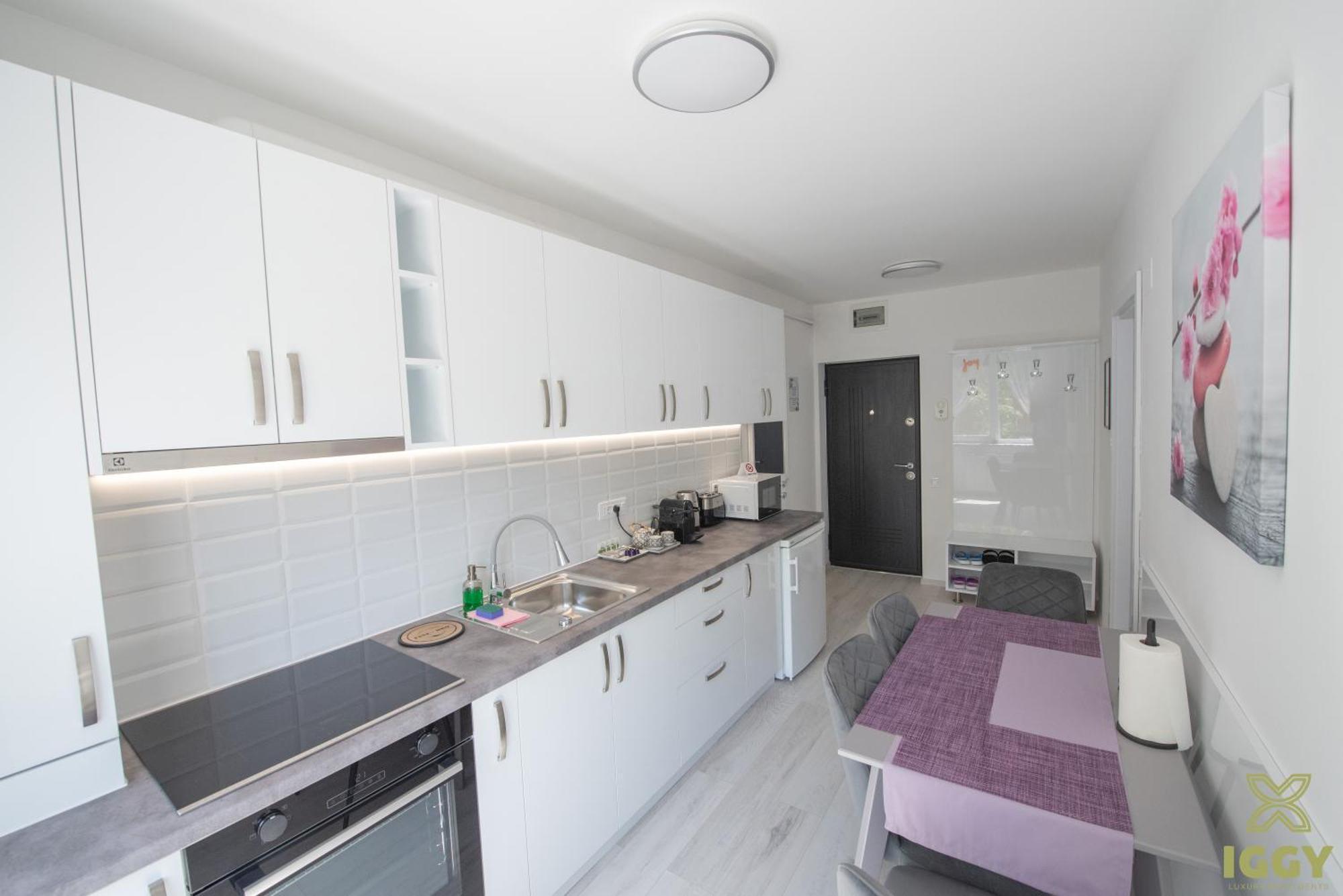 Iggy Premium Apartment Хунедоара Екстериор снимка